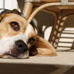 The Creative Process and The Ways we Think