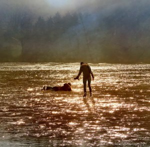 Image courtesy of Hartwig HKD