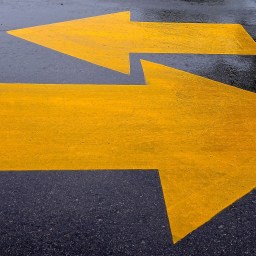 Contradictions in Creativity: The Story of Cubicles