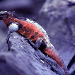 Do Other People Decide if You’re “Creative” or Not?